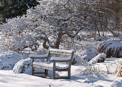 How to Design a Stunning Winter Garden with Magical Snow